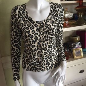 NWT Betsey Johnson leopard